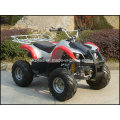 Mini Quad ATV 110ccm